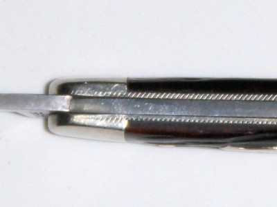 156.JPG