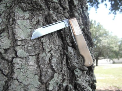 DSCF5513.JPG