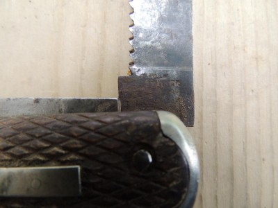 DSCN1033.JPG