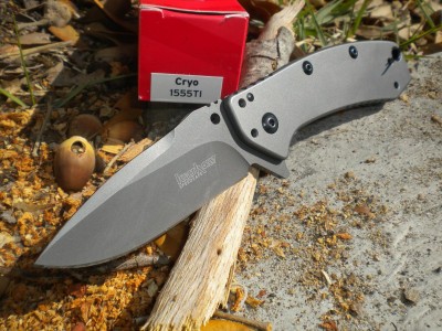 Kershaw CRYO Knife 004.JPG