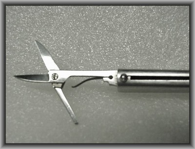 slide4.JPG