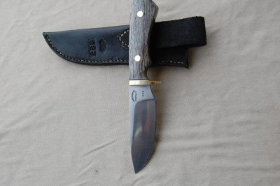 dan papik 533 005.JPG