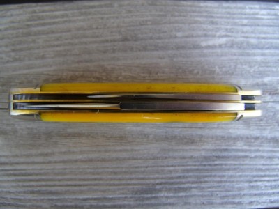 GEDC3313.JPG