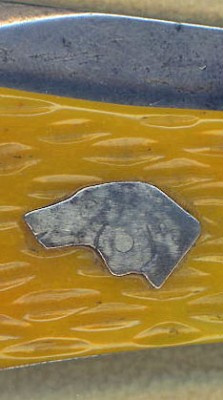 pinned dogs head.jpg