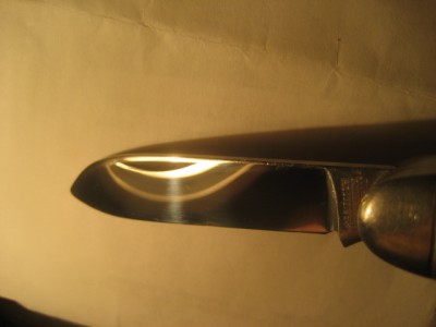 Picture 130.jpg