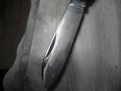 Picture 117.jpg