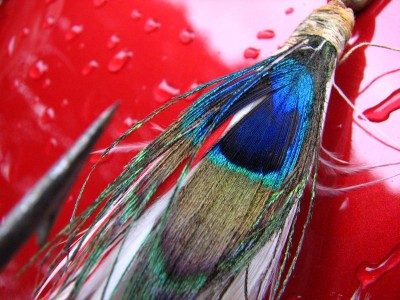 IMG_3417.JPG