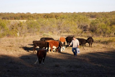 Down_on_the_Farm_in_Gorman_030[1].jpg