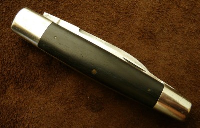 RobesonPremierWhittlerD.jpg