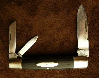 RobesonPremierWhittlerE.jpg