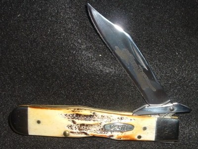 Cheetah113033.jpg