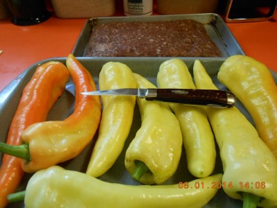 DSCN3908.JPG