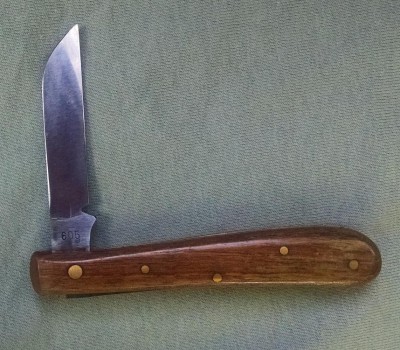 Tina grafting knife c.jpg