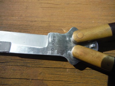 DSCF3541.JPG