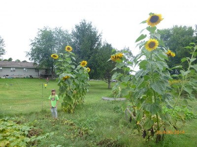 P1000576.JPG