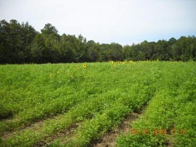 9-3-09 1101am.jpg