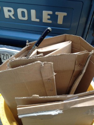 Violet with recycled boxes.jpg