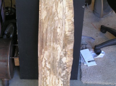Spalted Mango