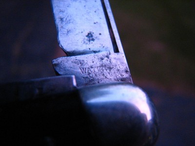 IMG_3720.JPG