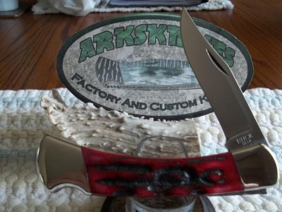 Buck 110 NS BOS CPM 154 Blade with Crimson Stag Bone Handles and Fileworked Rocker