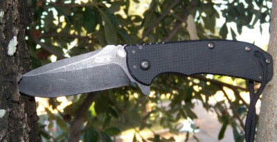 ZT0566BW treed I.jpg