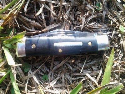 Gec1.jpg