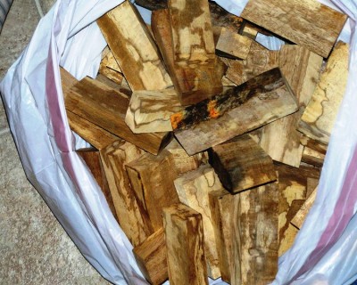 Spalted Mango