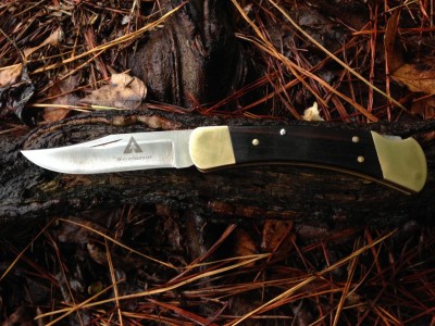 Buck 110 two-dot (2).JPG