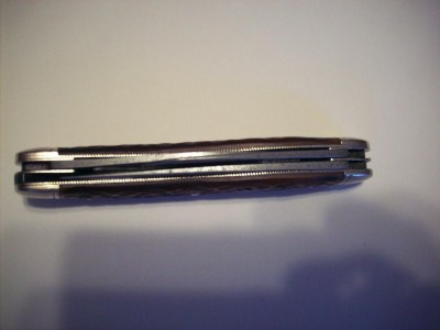 100_3310.JPG