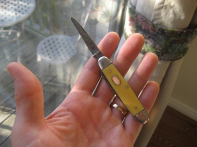 yellow Premier Lifetime 013.jpg
