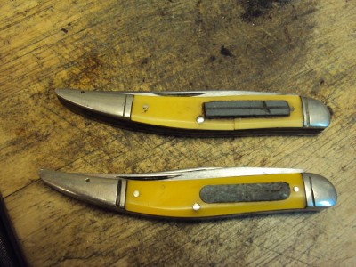Bloodhound 1.JPG