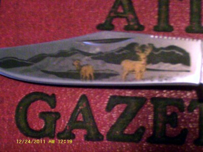 IMAG0043.JPG