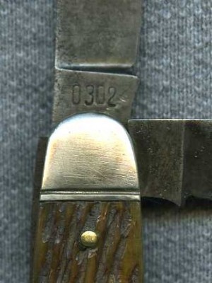 8583004.jpg