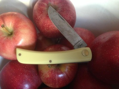 Case 3137 CV - 2011 - NY Apples - PA Knife.JPG