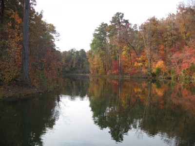 Lake Russell (2).JPG