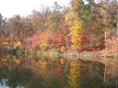 Lake Russell (3).JPG