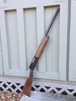 Browning Auto-5 Light Twelve.JPG