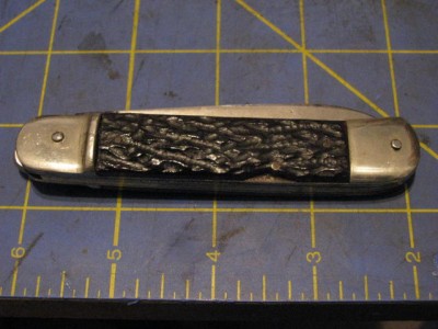 BonsaSpringer 003.jpg