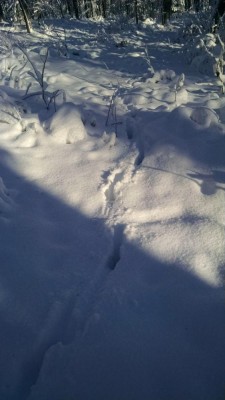 IMG_20141127_083022958.jpg