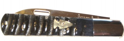 Scagel 8 Impala.jpg