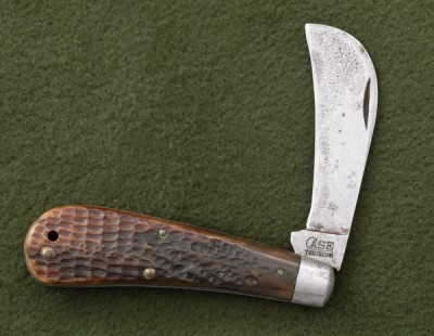 hawkbill2.jpg