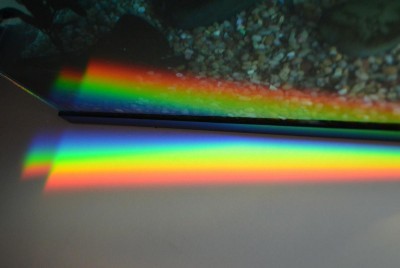 DSC_0060.JPG