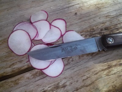 GEC Farm & Field Tool Knife slicing radishes.jpg