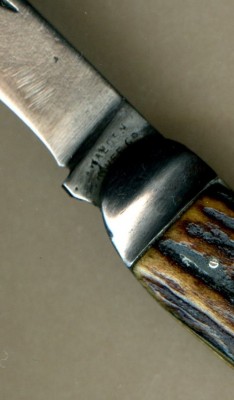 HA Dreer stag Walden Knife Co819.jpg