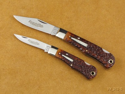 Remington R1173L-R1303 (1).jpg