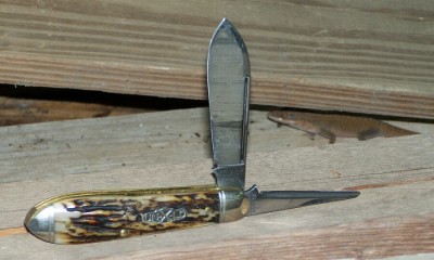 GEC 85P with Lizard.jpg