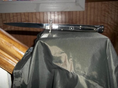 italian swing guard 003.JPG