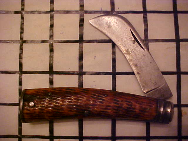UlsterHawkbill1.JPG