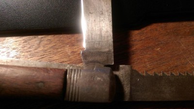 IMAG0447.jpg