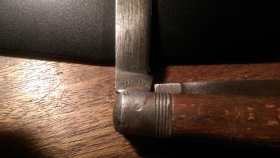 IMAG0448.jpg